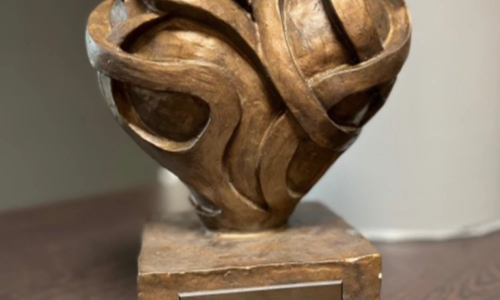 Bekroonde ondernemer - Asset