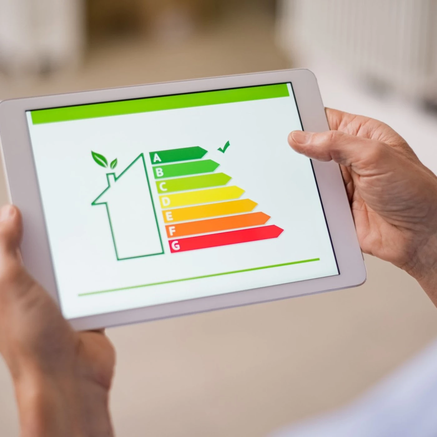 Energie & Ecologie Thumb